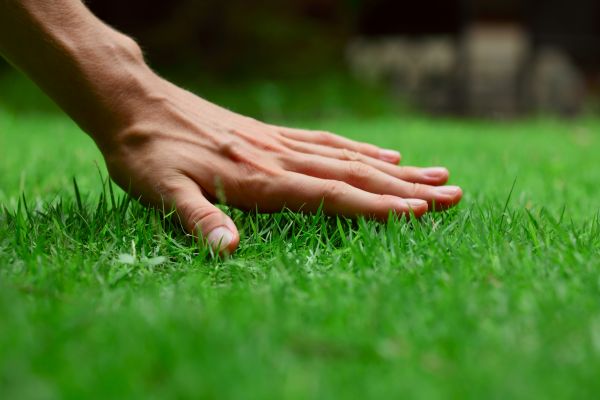 Coeur D Alene Lawn Treatment